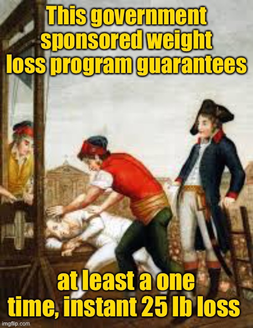 Or your tax dollars refunded | image tagged in guillotine,government program,weight loss,guarantee | made w/ Imgflip meme maker