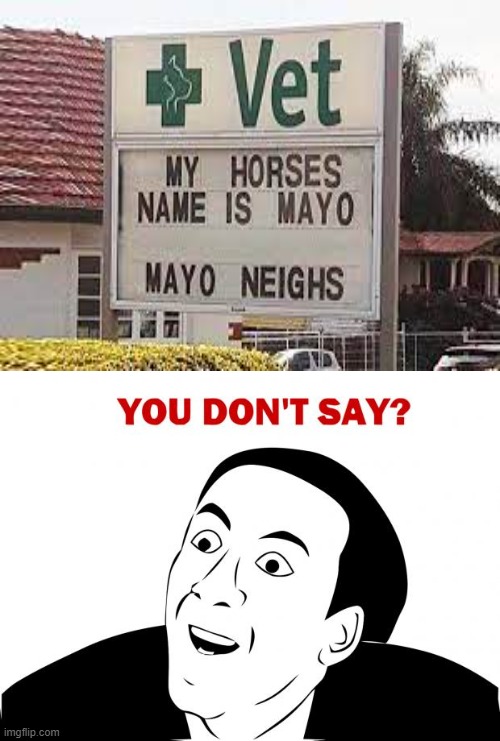 mayo | image tagged in memes,you don't say | made w/ Imgflip meme maker