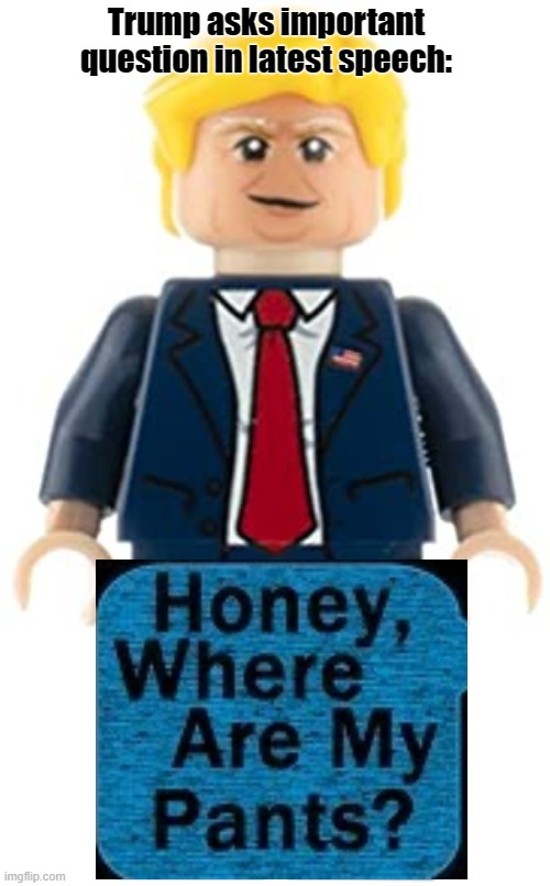 Honey, where are my pants? | Trump asks important question in latest speech: | image tagged in trump,the lego movie,pants,dirty diaper,poopy pants | made w/ Imgflip meme maker