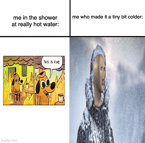 kold | me who made it a tiny bit colder:; me in the shower at really hot water: | image tagged in used with my own temp | made w/ Imgflip meme maker