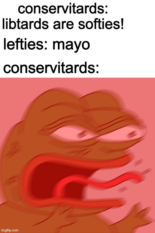 how are we softies if you get triggered from fking mayo lmao | conservitards: libtards are softies! lefties: mayo; conservitards: | image tagged in reeeeeeeeeeeeeeeeeeeeee | made w/ Imgflip meme maker