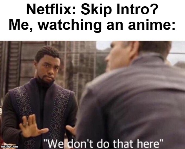 Sorry, but no. | Netflix: Skip Intro?
Me, watching an anime: | image tagged in we dont do that here | made w/ Imgflip meme maker