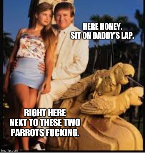 Americas favorite pedo | HERE HONEY, SIT ON DADDY'S LAP. RIGHT HERE NEXT TO THESE TWO PARROTS FUCKING. | image tagged in americas favorite pedo | made w/ Imgflip meme maker