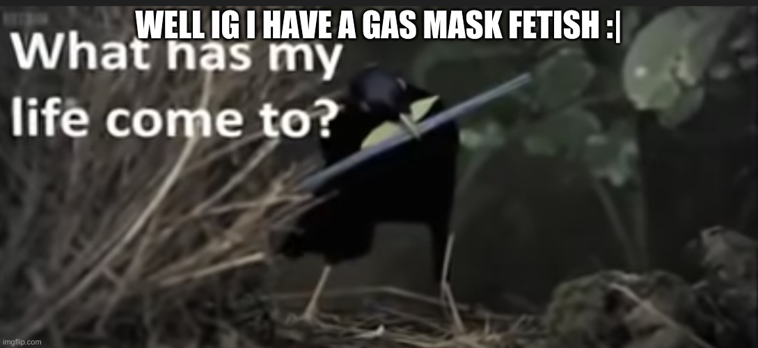 What has my life come to? | WELL IG I HAVE A GAS MASK FETISH :| | image tagged in what has my life come to | made w/ Imgflip meme maker