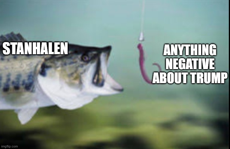 Fish being lured | STANHALEN ANYTHING NEGATIVE ABOUT TRUMP | image tagged in fish being lured | made w/ Imgflip meme maker