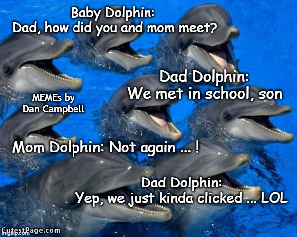 dolphins | Baby Dolphin: 
Dad, how did you and mom meet? Dad Dolphin:
We met in school, son; MEMEs by Dan Campbell; Mom Dolphin: Not again ... ! Dad Dolphin:
Yep, we just kinda clicked ... LOL | image tagged in dolphins | made w/ Imgflip meme maker
