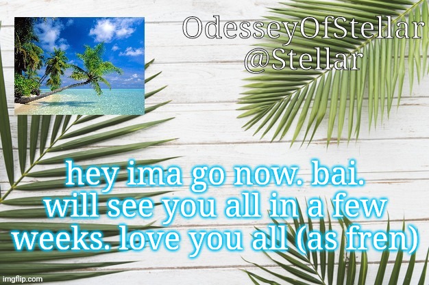 palms | hey ima go now. bai. will see you all in a few weeks. love you all (as fren) | image tagged in palms | made w/ Imgflip meme maker