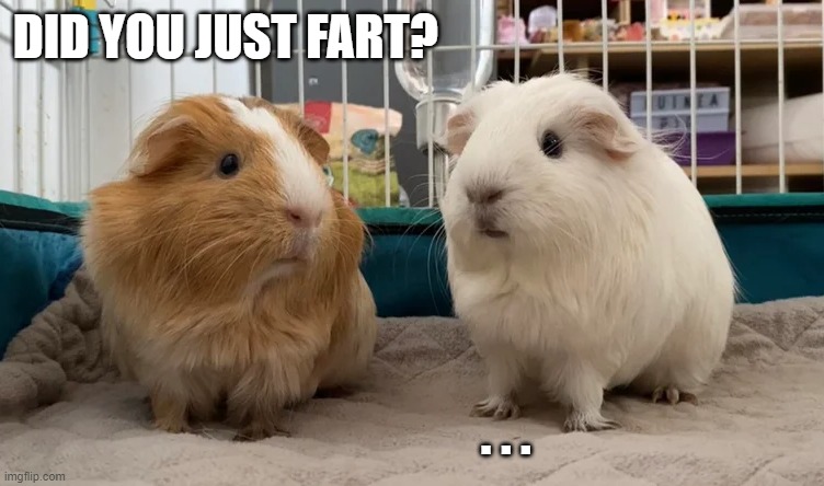 DID YOU JUST FART? . . . | made w/ Imgflip meme maker