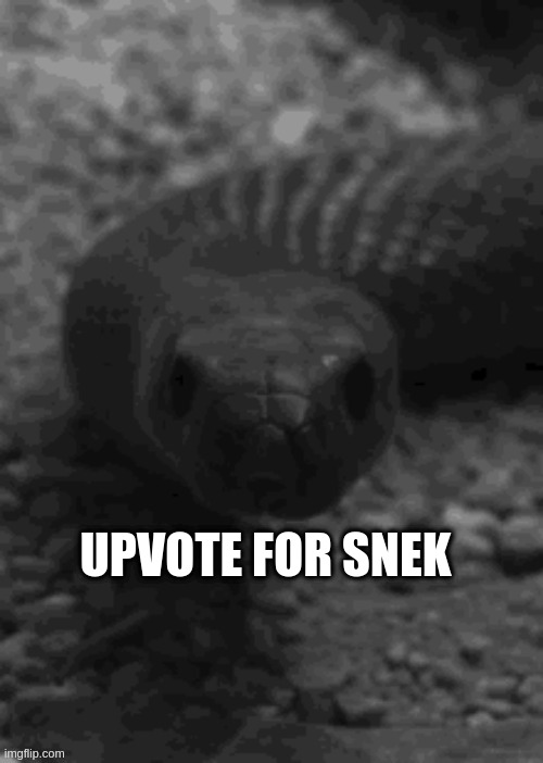 UPVOTE FOR SNEK | made w/ Imgflip meme maker