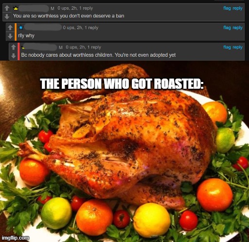 DAMNNNNNNNNNNNNNNNNNN | THE PERSON WHO GOT ROASTED: | image tagged in roasted turkey | made w/ Imgflip meme maker
