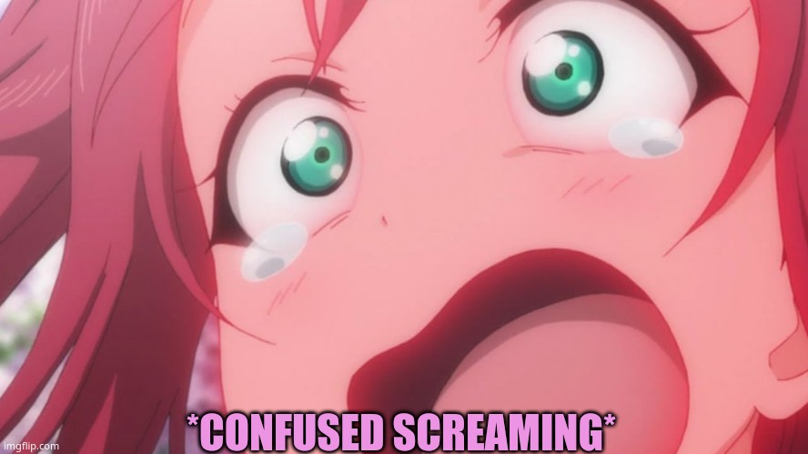 *CONFUSED SCREAMING* | made w/ Imgflip meme maker