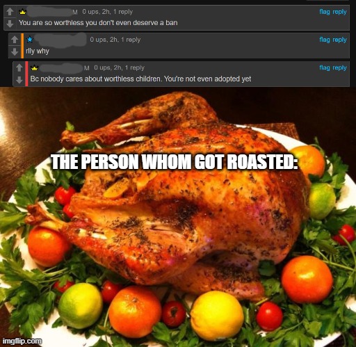 DAMNNNNNNNNNNN | THE PERSON WHOM GOT ROASTED: | image tagged in roasted turkey | made w/ Imgflip meme maker