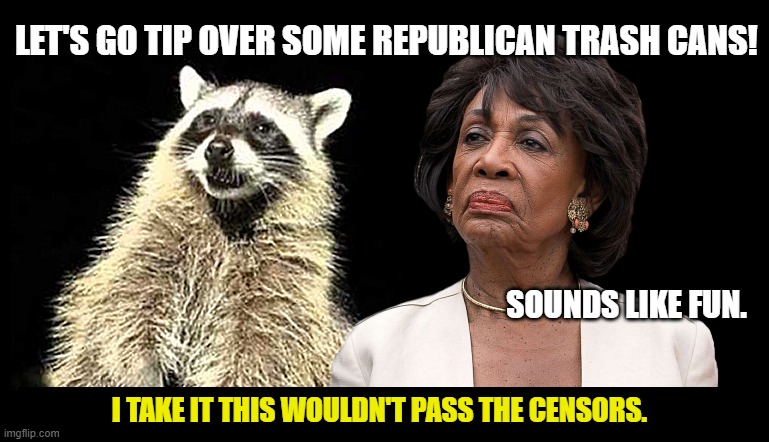 The Raccoon and Maxine Waters | LET'S GO TIP OVER SOME REPUBLICAN TRASH CANS! I TAKE IT THIS WOULDN'T PASS THE CENSORS. SOUNDS LIKE FUN. | image tagged in the raccoon and maxine waters | made w/ Imgflip meme maker