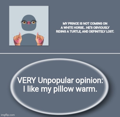 Emily | VERY Unpopular opinion: I like my pillow warm. | image tagged in emily | made w/ Imgflip meme maker