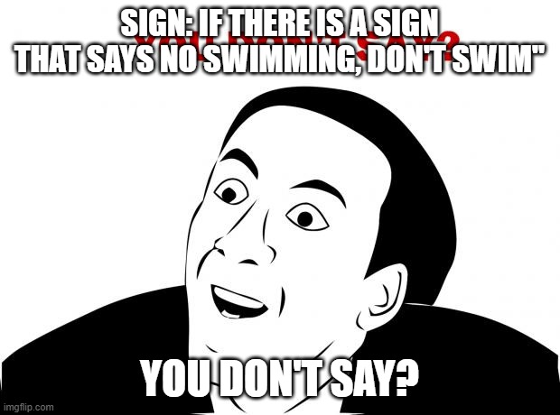 You Don't Say | SIGN: IF THERE IS A SIGN THAT SAYS NO SWIMMING, DON'T SWIM"; YOU DON'T SAY? | image tagged in memes,you don't say | made w/ Imgflip meme maker