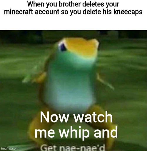 lol | When you brother deletes your minecraft account so you delete his kneecaps; Now watch me whip and | image tagged in now watch me,whip whip,and,get nae-nae'd | made w/ Imgflip meme maker
