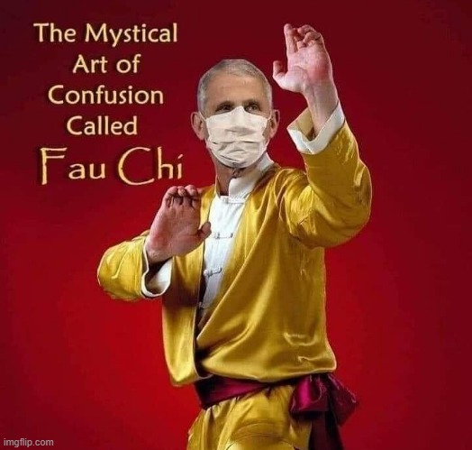 The Art of Confusion- FAU CHI | image tagged in fauci,art,confusion,covid19,science | made w/ Imgflip meme maker