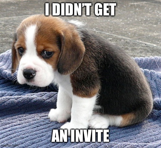 Dog party | I DIDN’T GET AN INVITE | image tagged in sad dog | made w/ Imgflip meme maker