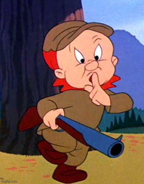 Be vewy  vewy quiet | image tagged in elmer fudd | made w/ Imgflip meme maker
