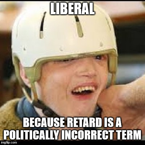 LIBERAL IDIOTS | image tagged in idiots | made w/ Imgflip meme maker
