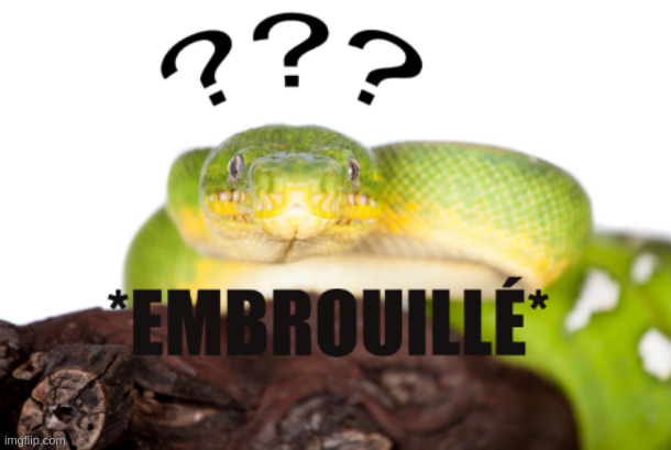 confused snake | image tagged in confused snake | made w/ Imgflip meme maker