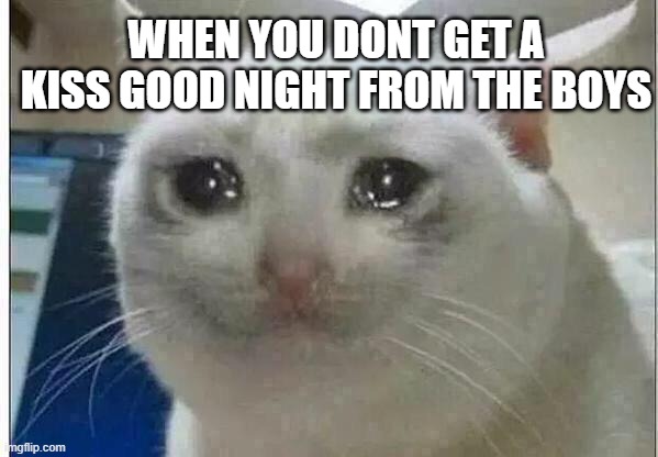 crying cat | WHEN YOU DONT GET A KISS GOOD NIGHT FROM THE BOYS | image tagged in crying cat | made w/ Imgflip meme maker
