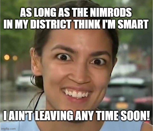 Alexandria Ocasio-Cortez looking "high" | AS LONG AS THE NIMRODS IN MY DISTRICT THINK I'M SMART I AIN'T LEAVING ANY TIME SOON! | image tagged in alexandria ocasio-cortez looking high | made w/ Imgflip meme maker