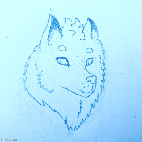 Just something I’m drawing while I’m in the car :] | image tagged in drawing,wolf,hehehe | made w/ Imgflip meme maker