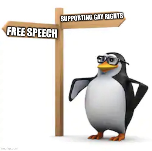 Confused Penguin | SUPPORTING GAY RIGHTS FREE SPEECH | image tagged in confused penguin | made w/ Imgflip meme maker