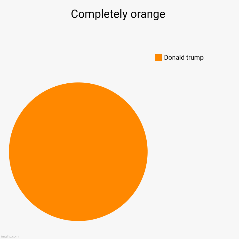 Completely orange | Donald trump | image tagged in charts,pie charts | made w/ Imgflip chart maker