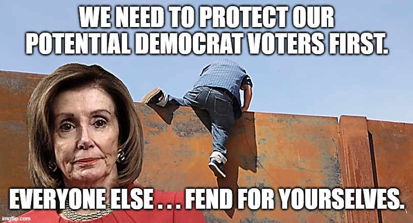 Nancy Pelosi at the Southern Border Wall | WE NEED TO PROTECT OUR POTENTIAL DEMOCRAT VOTERS FIRST. EVERYONE ELSE . . . FEND FOR YOURSELVES. | image tagged in nancy pelosi at the southern border wall | made w/ Imgflip meme maker