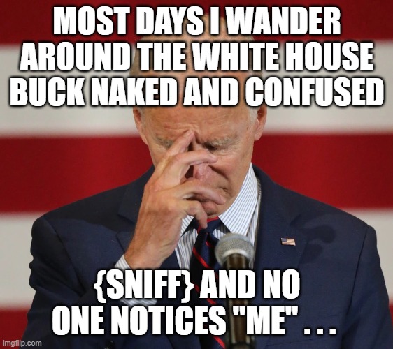 Confused Joe Biden | MOST DAYS I WANDER AROUND THE WHITE HOUSE BUCK NAKED AND CONFUSED {SNIFF} AND NO ONE NOTICES "ME" . . . | image tagged in confused joe biden | made w/ Imgflip meme maker