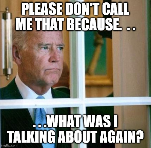 Sad Biden | PLEASE DON'T CALL ME THAT BECAUSE.  . . . . .WHAT WAS I TALKING ABOUT AGAIN? | image tagged in sad biden | made w/ Imgflip meme maker