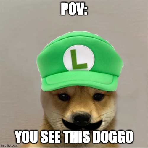 new OC | POV:; YOU SEE THIS DOGGO | image tagged in a | made w/ Imgflip meme maker