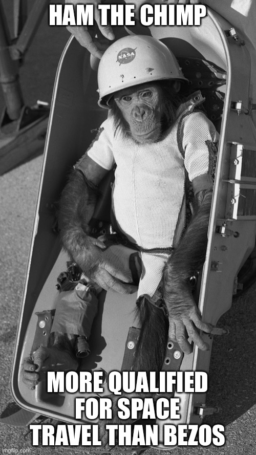 Astronaut training | HAM THE CHIMP; MORE QUALIFIED FOR SPACE TRAVEL THAN BEZOS | image tagged in astronaut,jeff bezos,space,spaceship | made w/ Imgflip meme maker