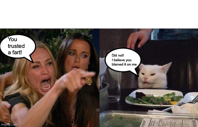 You trusted a fart. | You trusted a fart! Did not! I believe you blamed it on me | image tagged in memes,woman yelling at cat | made w/ Imgflip meme maker