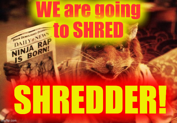 Shred. Shredder. | WE are going
to SHRED; SHREDDER! | image tagged in ninja,turtle,splinter,sensei rat,kick ass,we do not play | made w/ Imgflip meme maker
