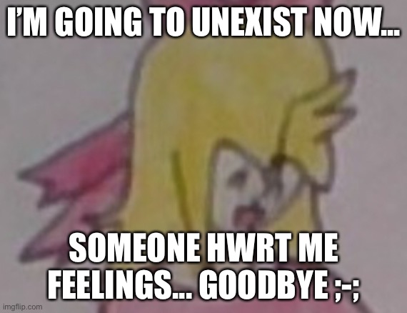 I’M GOING TO UNEXIST NOW... SOMEONE HWRT ME FEELINGS... GOODBYE ;-; | made w/ Imgflip meme maker