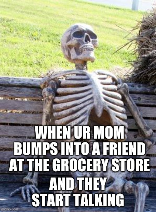 YOMOMAM | WHEN UR MOM BUMPS INTO A FRIEND AT THE GROCERY STORE; AND THEY START TALKING | image tagged in memes,waiting skeleton | made w/ Imgflip meme maker