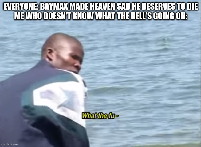 What the fu- | EVERYONE: BAYMAX MADE HEAVEN SAD HE DESERVES TO DIE
ME WHO DOESN'T KNOW WHAT THE HELL'S GOING ON: | image tagged in what the fu- | made w/ Imgflip meme maker