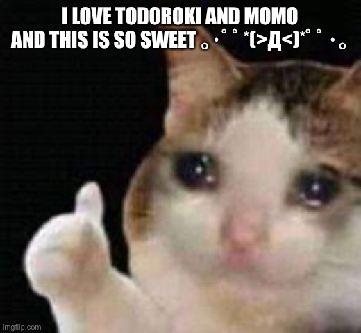 Approved crying cat | I LOVE TODOROKI AND MOMO AND THIS IS SO SWEET ｡･ﾟﾟ*(>Д<)*ﾟﾟ･｡ | image tagged in approved crying cat | made w/ Imgflip meme maker