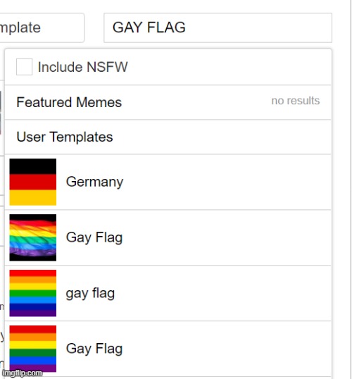 XD why is the first thing that comes up when you search gay flag on imgflip the german flag? | made w/ Imgflip meme maker