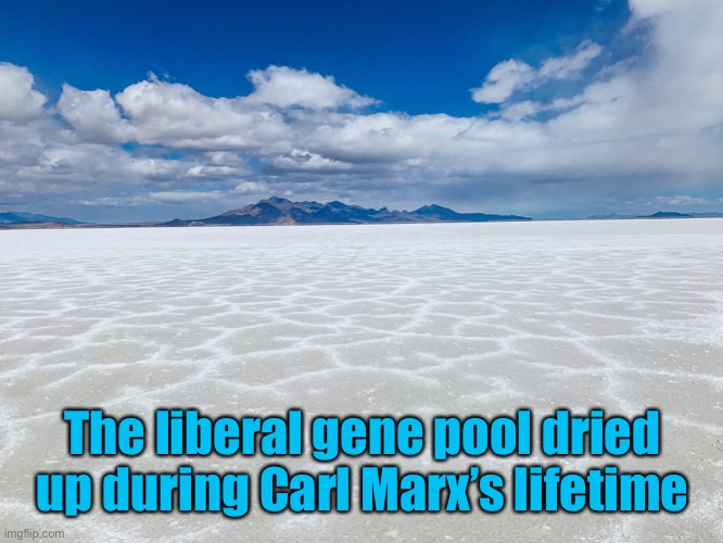 The liberal gene pool dried up during Carl Marx’s lifetime | made w/ Imgflip meme maker