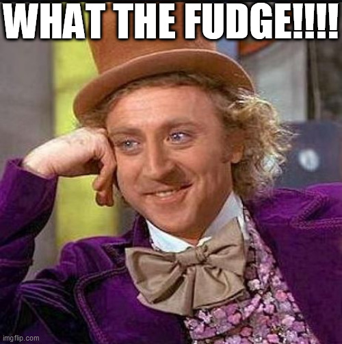 WHAT THE FUDGE!!!! | made w/ Imgflip meme maker