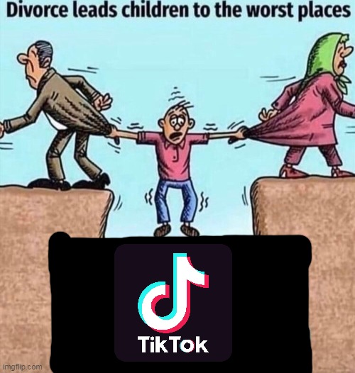 Divorce leads children to the worst places | image tagged in divorce leads children to the worst places,memes,tiktok | made w/ Imgflip meme maker