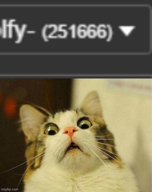 i need my mommmyyyyyy | image tagged in memes,scared cat | made w/ Imgflip meme maker