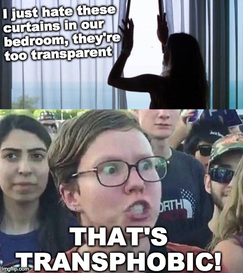 I just hate these
curtains in our
bedroom, they're
too transparent THAT'S TRANSPHOBIC! | image tagged in triggered liberal | made w/ Imgflip meme maker