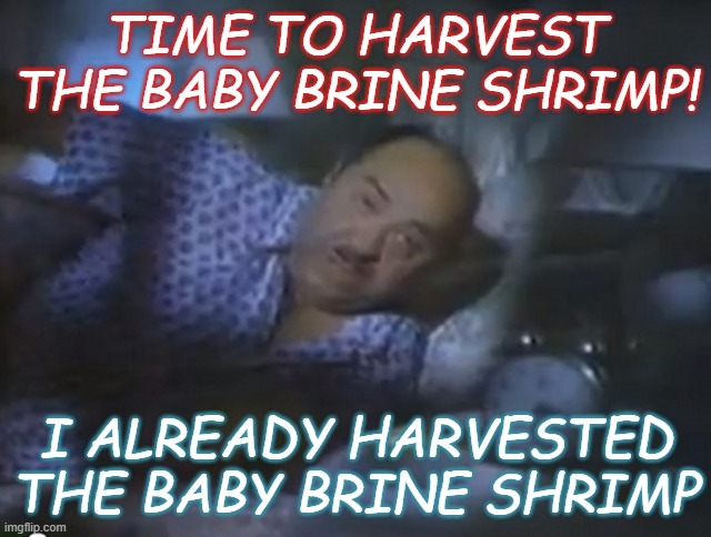 Time to harvest the brine shrimp! | TIME TO HARVEST THE BABY BRINE SHRIMP! I ALREADY HARVESTED THE BABY BRINE SHRIMP | image tagged in time to make the doughnuts | made w/ Imgflip meme maker