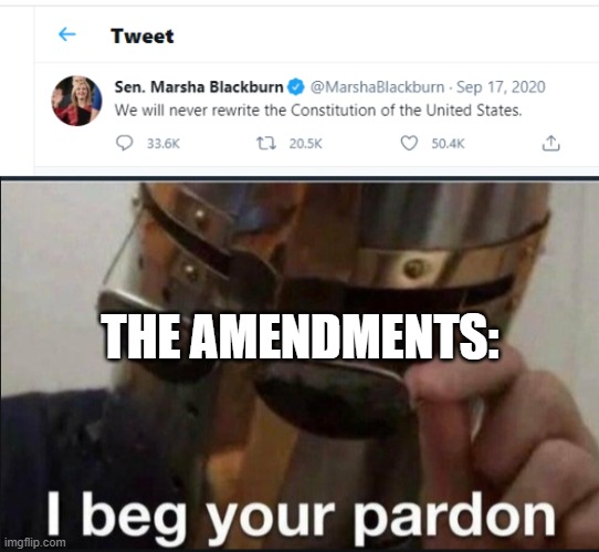 THE AMENDMENTS: | image tagged in i beg your pardon,memes,politics,political meme,amendment,constitution | made w/ Imgflip meme maker