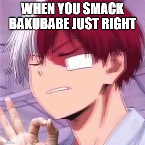 when you hear the contact with the skin- P E R F E CT I O N | WHEN YOU SMACK BAKUBABE JUST RIGHT | image tagged in todoroki | made w/ Imgflip meme maker